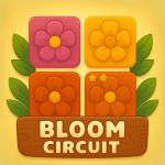 bloom-circuit.png
