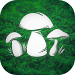 real-mushroom-hunting-simulato.png