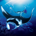the-manta-rays.png